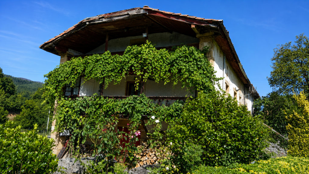 Proyecto familiar Villaberries de arándanos ecológicos en Valle de Villaverde